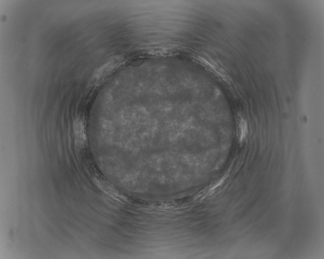 X0000071791106200607211615