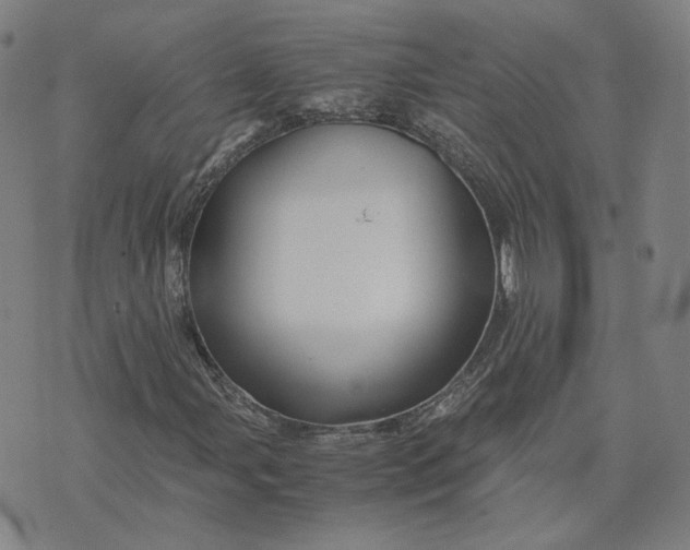 X0000071791107200607211615