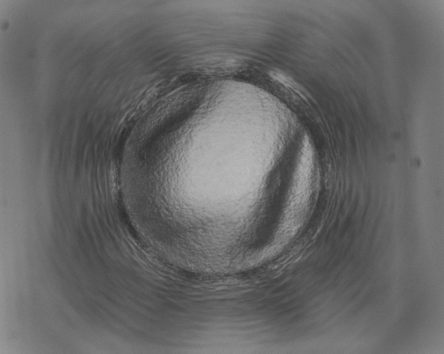 X0000071791108200607211615