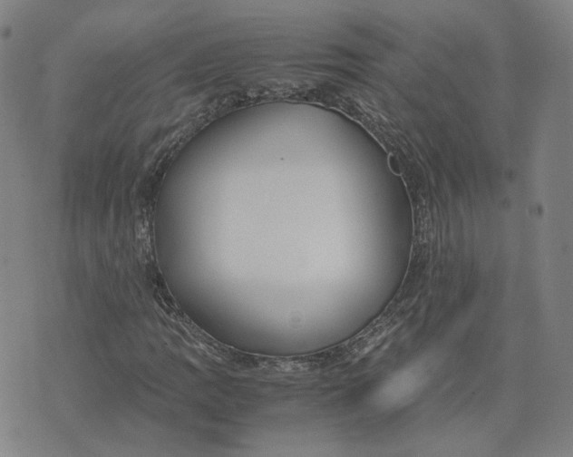 X0000071791109200607211615