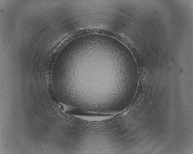 X0000071791110200607211615