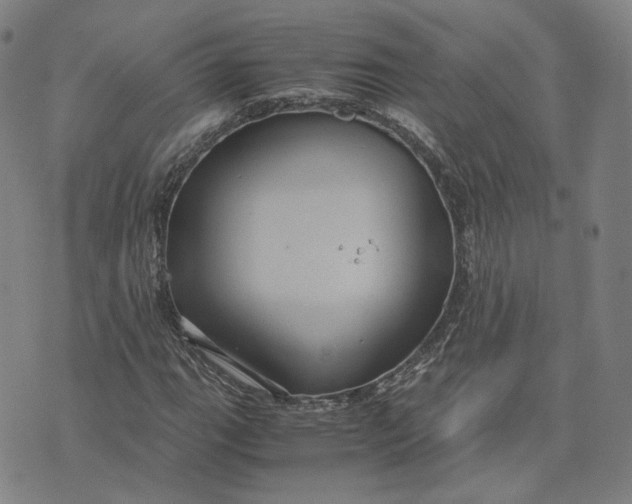 X0000071791111200607211615