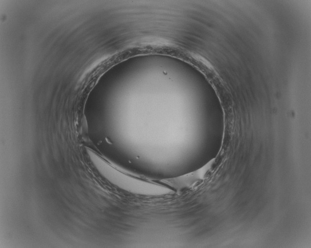 X0000071791112200607211615