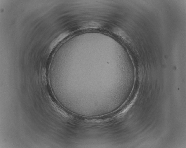 X0000071791113200607211615