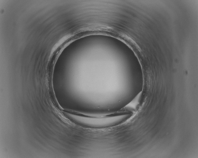 X0000071791114200607211615