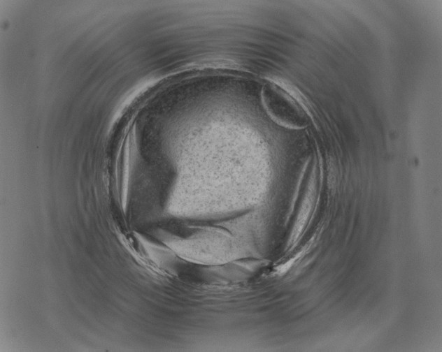 X0000071791115200607211615