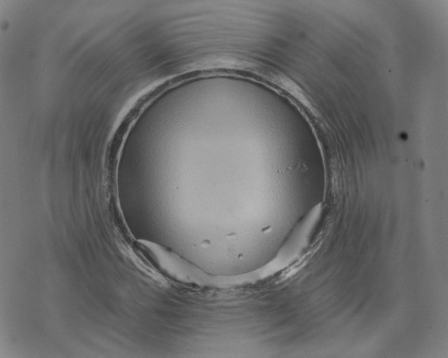 X0000071791116200607211615