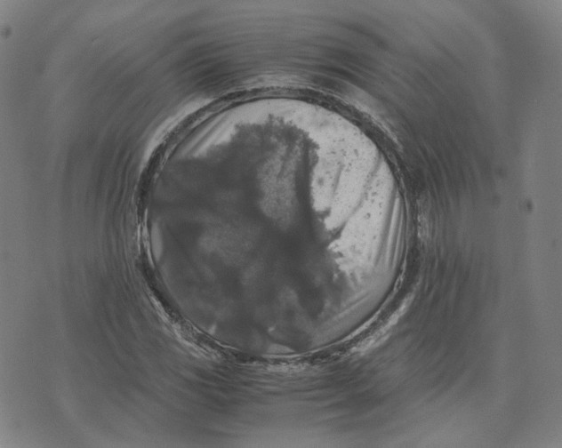 X0000071791117200607211615