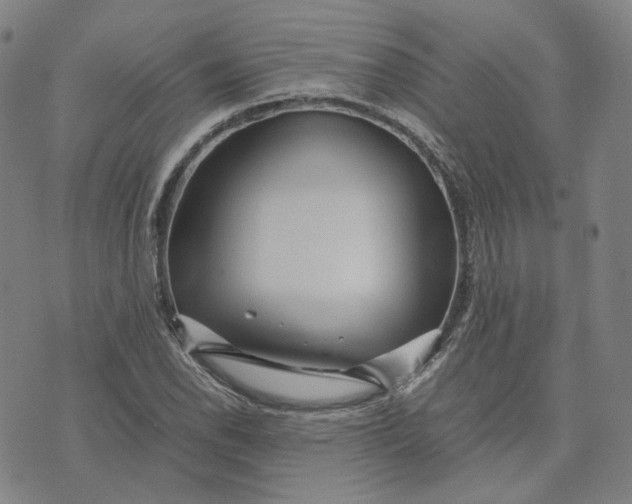 X0000071791118200607211615