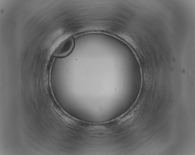 X0000071791119200607211615