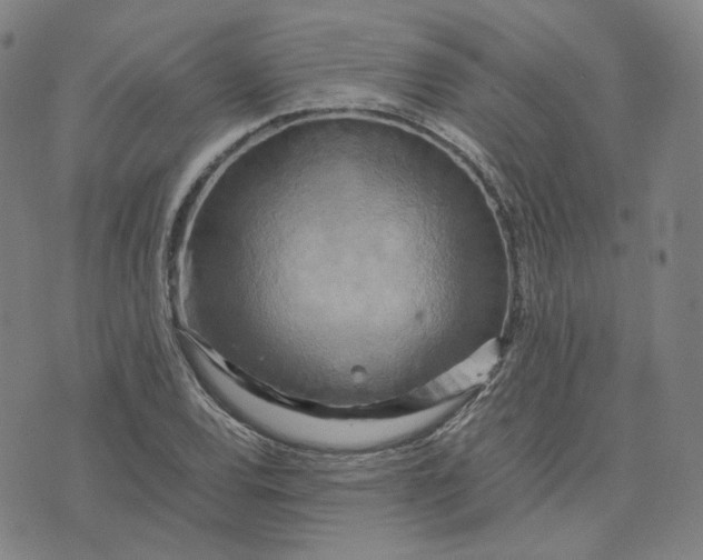 X0000071791120200607211615