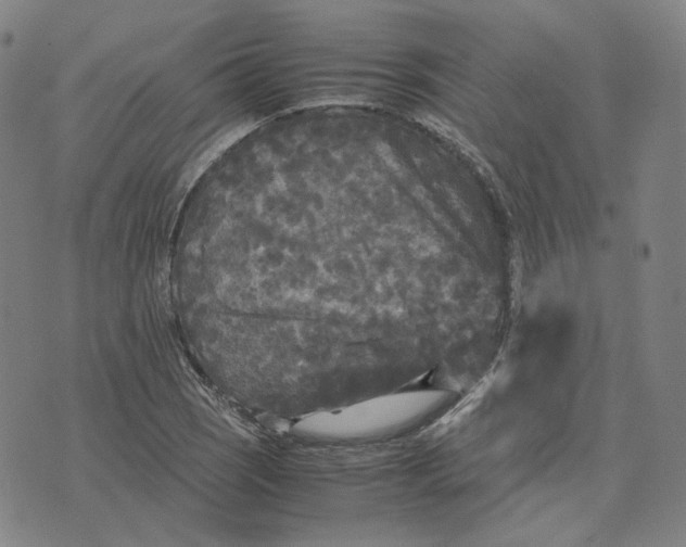 X0000071791121200607211615