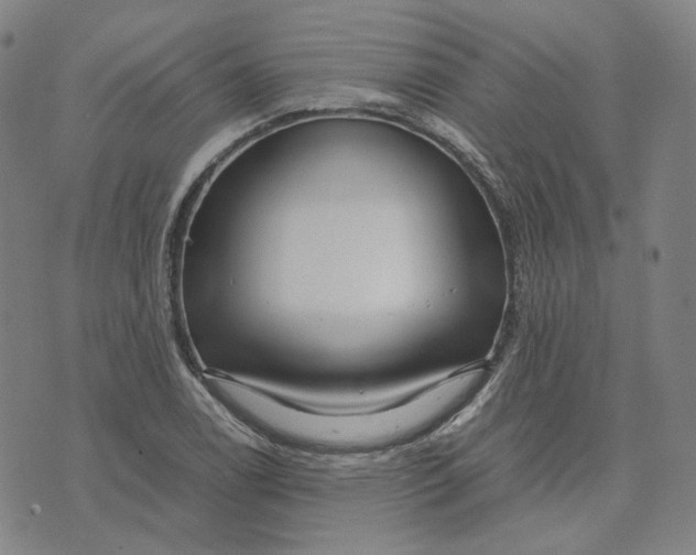 X0000071791122200607211615