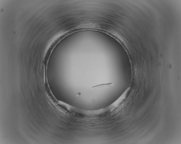 X0000071791123200607211615