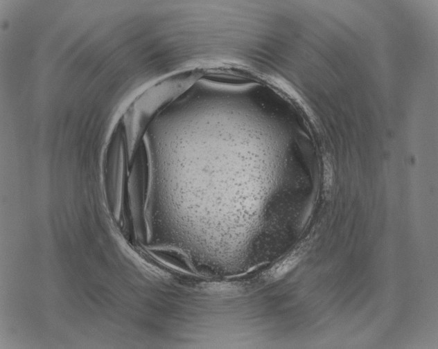 X0000071791124200607211615