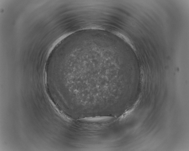 X0000071791125200607211615