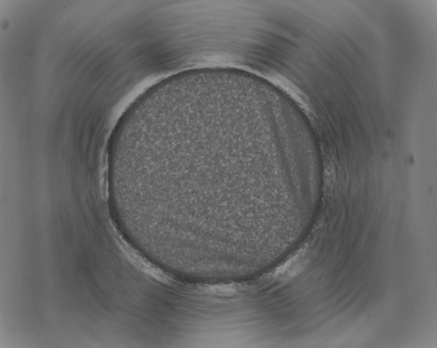 X0000071791126200607211615