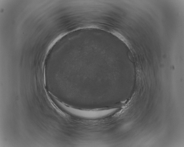 X0000071791127200607211615