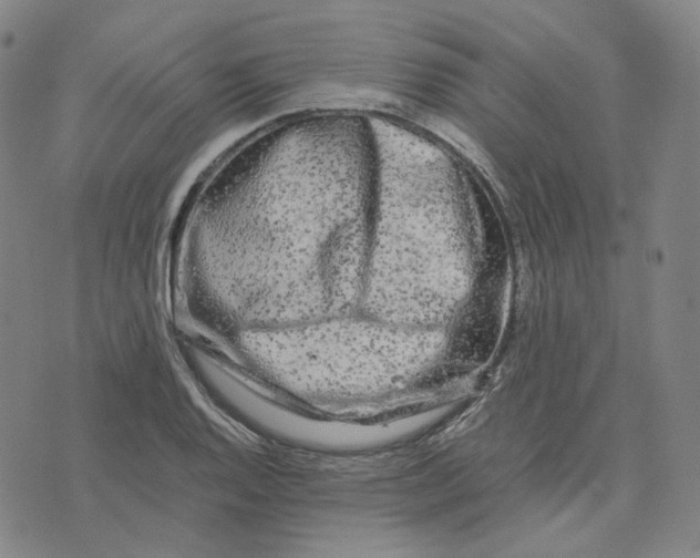 X0000071791128200607211615