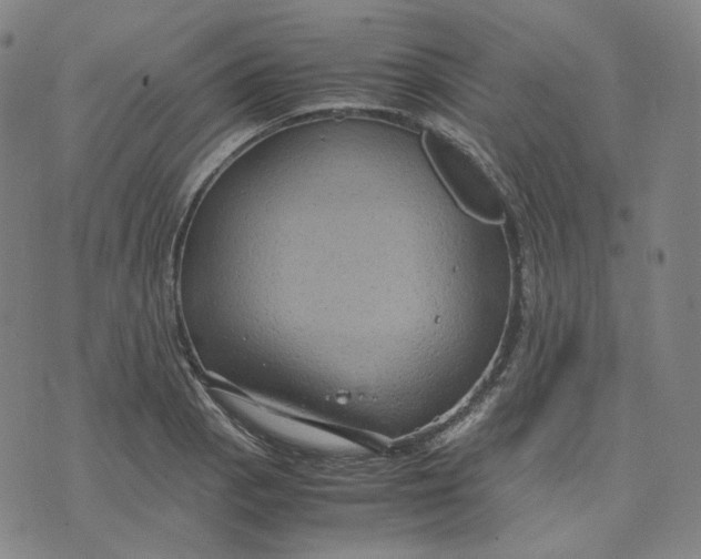 X0000071791129200607211615