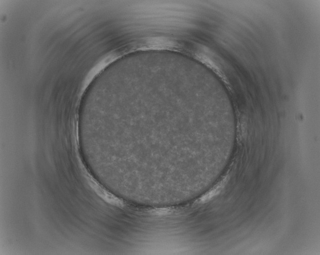 X0000071791130200607211615