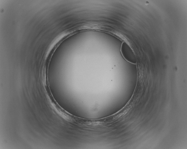 X0000071791131200607211615