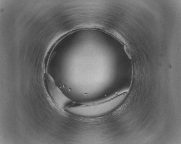 X0000071791132200607211615