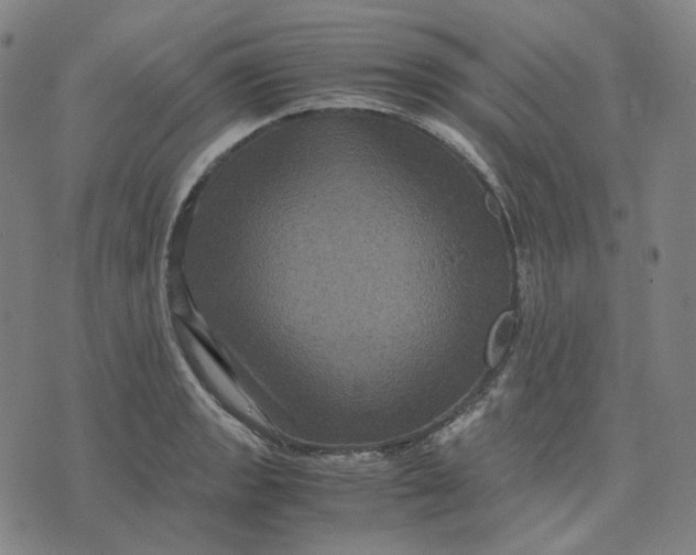 X0000071791133200607211615