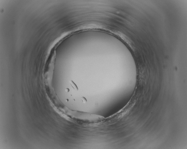 X0000071791134200607211615