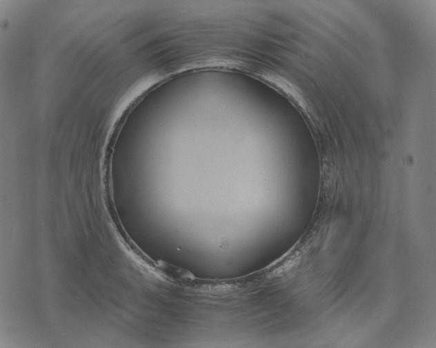 X0000071791135200607211615