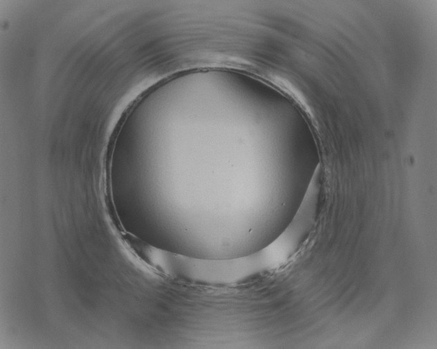 X0000071791136200607211615