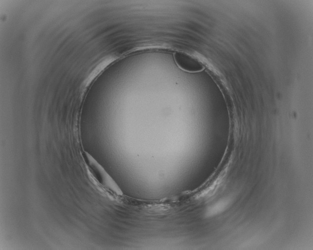 X0000071791137200607211615