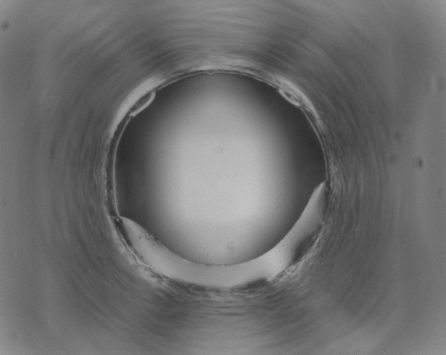 X0000071791138200607211615