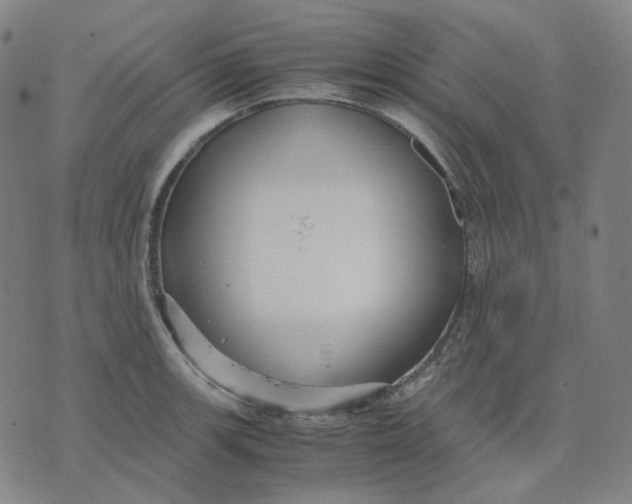 X0000071791139200607211615