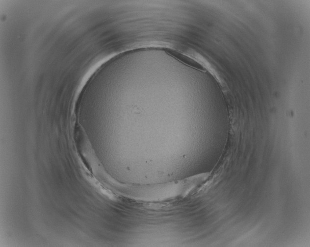 X0000071791140200607211615