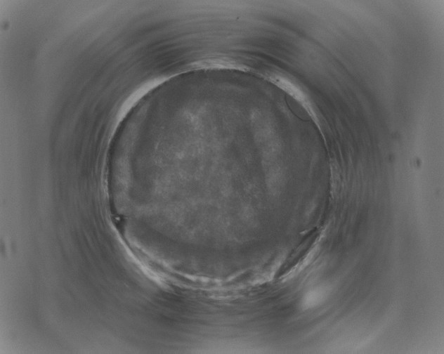 X0000071791141200607211615