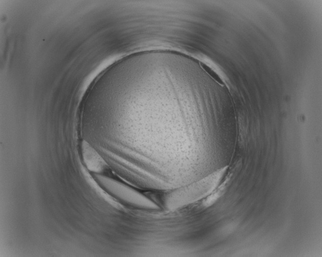 X0000071791142200607211615