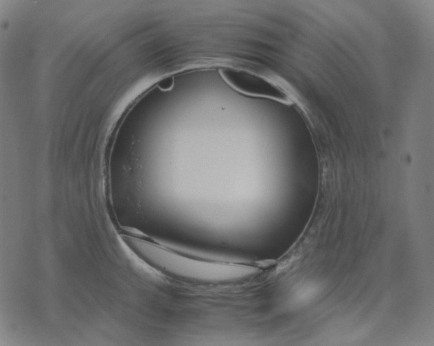 X0000071791143200607211615