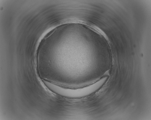 X0000071791144200607211615