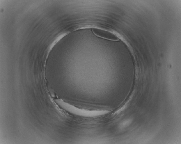 X0000071791145200607211615