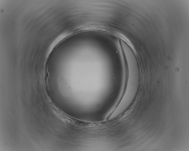 X0000071791146200607211616