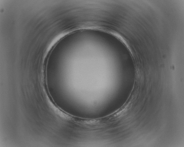 X0000071791147200607211616