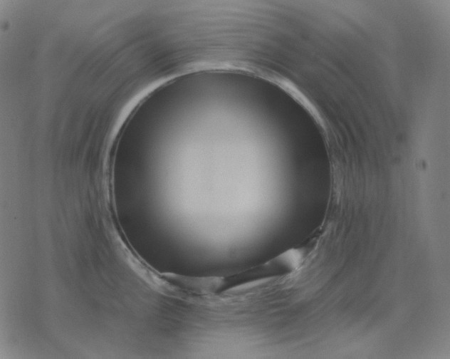 X0000071791148200607211616