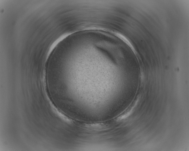 X0000071791149200607211616