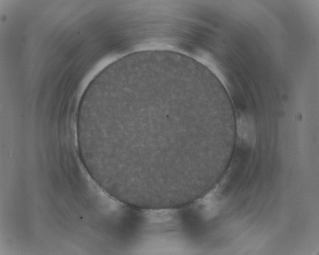 X0000071791150200607211616