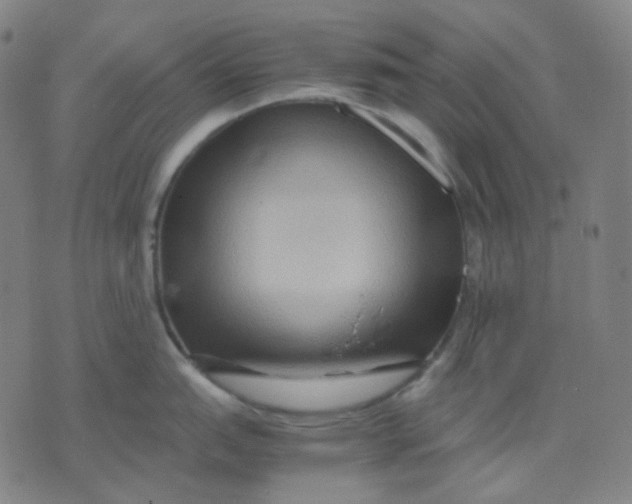 X0000071791151200607211616