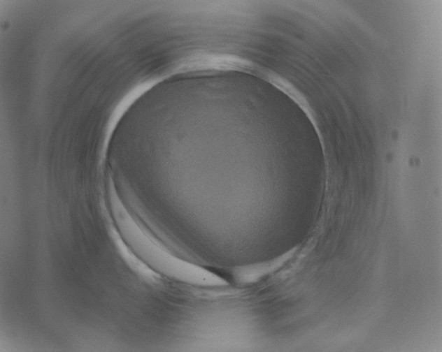 X0000071791152200607211616