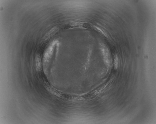 X0000071791154200607211615