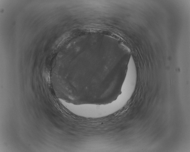 X0000071791155200607211615