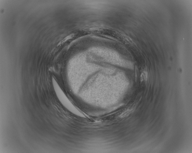 X0000071791156200607211615